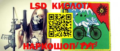 молекула духа Камышлов