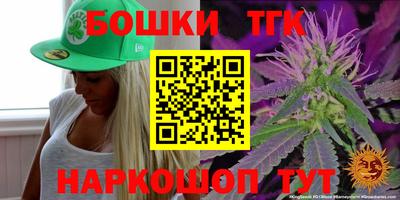 молекула духа Камышлов