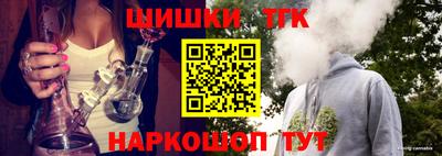 молекула духа Камышлов