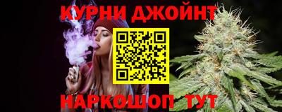 молекула духа Камышлов